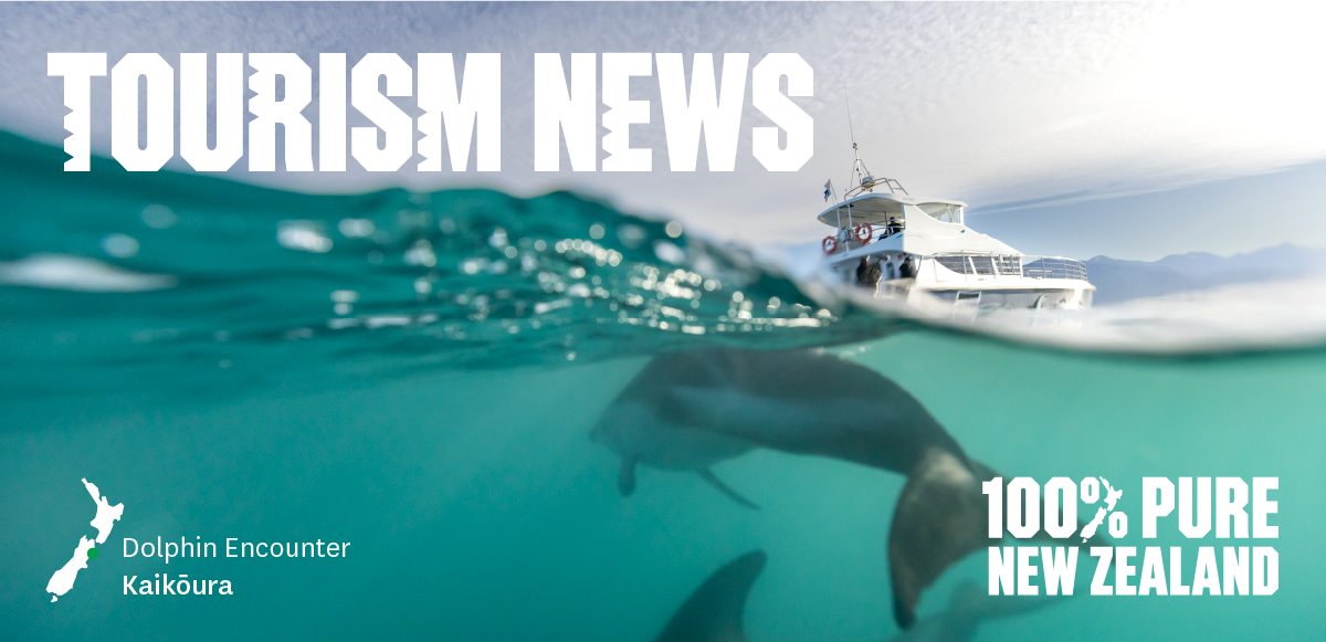 Dolphin Encounter Kaikoura