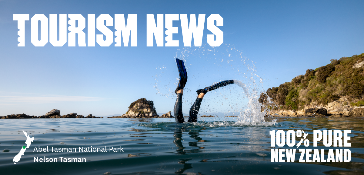 Person diving down in Abel Tasman National Park