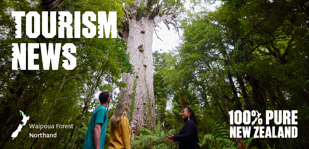 Waipoua Forest, Northland