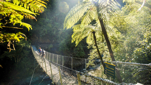 People cycling in Tairāwhiti Gisborne - Strike Photography for Motu Trails Charitable Trust