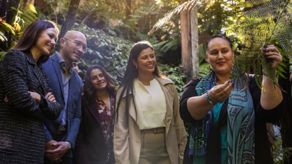 Auckland City, Auckland - Time Unlimited Tours