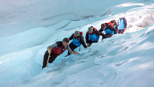 Fox Glacier - Miles Holden